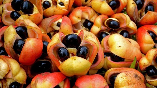 Ackee and Saltfish - The Jamaican Dish Combining Salted Fish and a Potentially Deadly Fruit